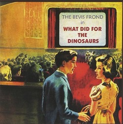 What Did for the Dinosaurs by The Bevis Frond