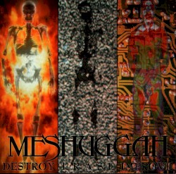Destroy Erase Improve by Meshuggah