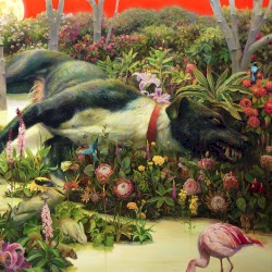 Feral Roots by Rival Sons