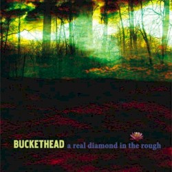 A Real Diamond in the Rough by Buckethead