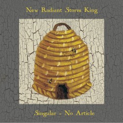 Singular - No Article by New Radiant Storm King