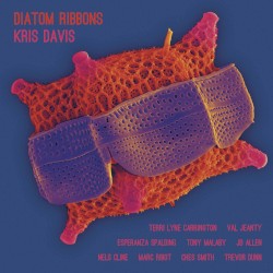 Diatom Ribbons by Kris Davis