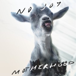 Motherhood by No Joy