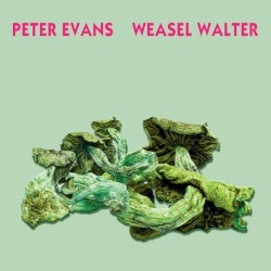 Poisonous by Peter Evans  &   Weasel Walter