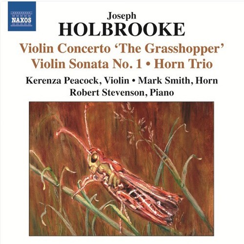 Violin Concerto "The Grasshopper"