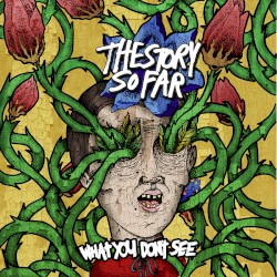 What You Don’t See by The Story So Far