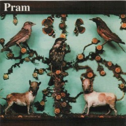 The Museum of Imaginary Animals by Pram