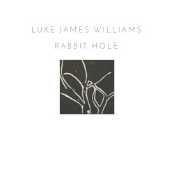 Rabbit Hole by Luke James Williams