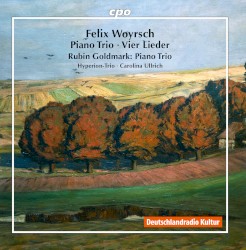 Woyrsch: Piano Trio / Vier Lieder / Goldmark: Piano Trio by Rubin Goldmark ,   Felix Woyrsch ;   Carolina Ullrich ,   Hyperion Trio