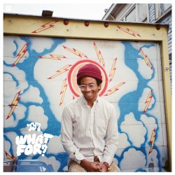 What For? by Toro y Moi