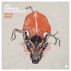 Wild Hog by The Furrow Collective