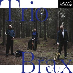 Trio Brax by Kjell Habbestad ,   Håvard Lund ,   Helge Iberg ,   Paul Hindemith ;   Trio Brax