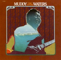"Unk" in Funk by Muddy Waters