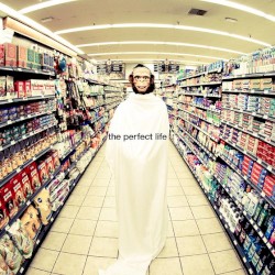 The Perfect Life by Moby  &   Wayne Coyne