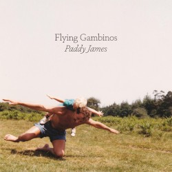 Flying Gambinos by Paddy James