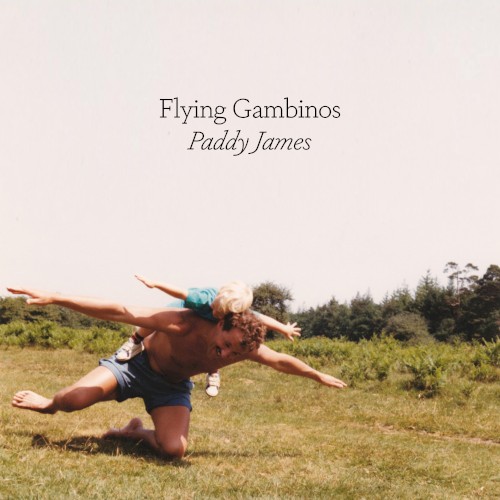 Flying Gambinos