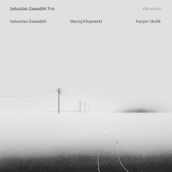 Vibrations by Sebastian Zawadzki Trio