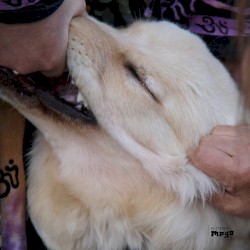 It’s Hard for Me to Say I’m Sorry by Christian Fennesz  &   Jim O’Rourke