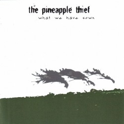 What We Have Sown by The Pineapple Thief