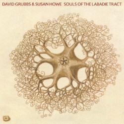 Souls of the Labadie Tract by David Grubbs  &   Susan Howe