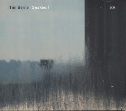 Snakeoil by Tim Berne