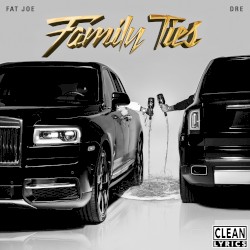 Family Ties by Fat Joe  &   Dre