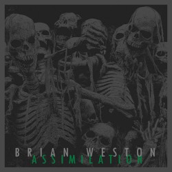 Assimilation by Brian Weston