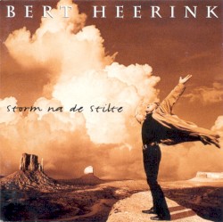 Storm na de stilte by Bert Heerink