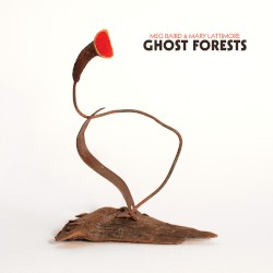 Ghost Forests by Meg Baird  &   Mary Lattimore
