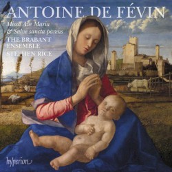 Missa Ave Maria & Salve sancta parens by Antoine de Févin ;   The Brabant Ensemble ,   Stephen Rice