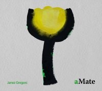 aMate by Janez Gregorc  &   Simfonični orkester RTV Slovenija