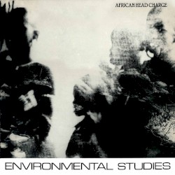Environmental Studies by African Head Charge