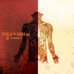 The Anatomy Of by Between the Buried and Me