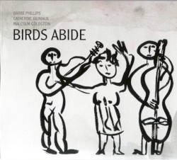 Birds Abide by Barre Phillips ,   Catherine Jauniaux ,   Malcolm Goldstein