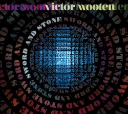 Sword and Stone by Victor Wooten