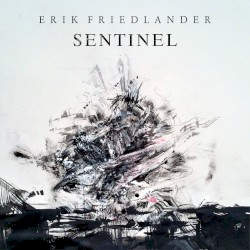 Sentinel by Erik Friedlander
