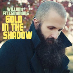 Gold in the Shadow by William Fitzsimmons