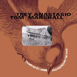 Trampled By Lambs And Pecked By The Doves by Trey Anastasio  &   Tom Marshall