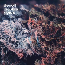Sylva by Benoît Pioulard