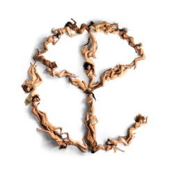Blood for Mercy by Yellow Claw