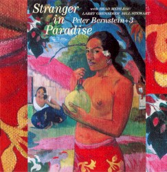 Stranger in Paradise by Peter Bernstein