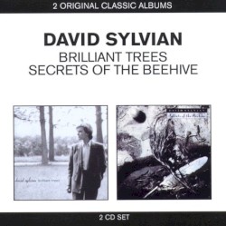 Brilliant Trees / Secrets Of The Beehive by David Sylvian