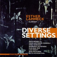 Diverse Settings by Esther Lamneck