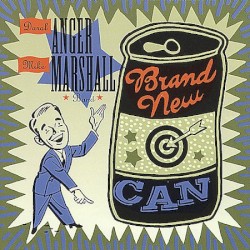 Brand New Can by Darol Anger  and   Mike Marshall Band