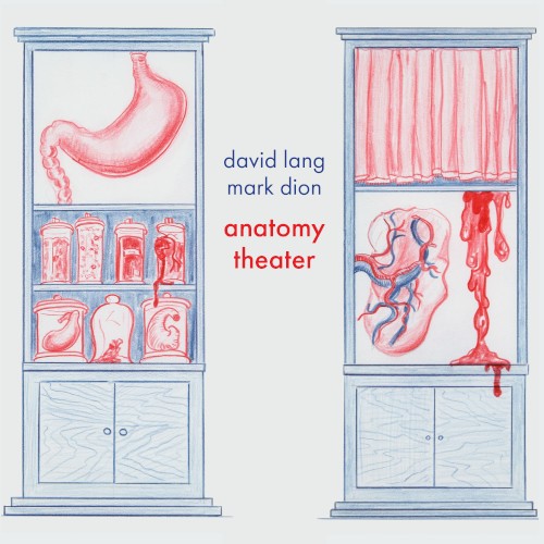 anatomy theater