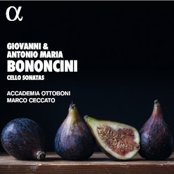 Cello Sonatas by Giovanni Bononcini ,   Antonio Maria Bononcini ;   Accademia Ottoboni ,   Marco Ceccato