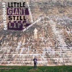 Little Giant Still Life by Dave Douglas