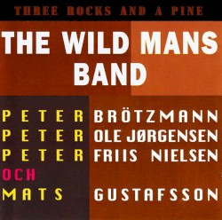 Three Rocks and a Pine by The Wild Mans Band