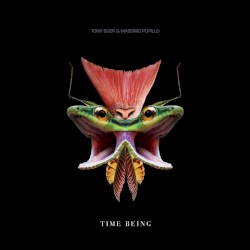 Time Being by Massimo Pupillo  /   Tony Buck
