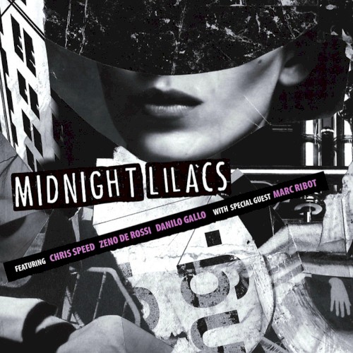 Midnight Lilacs